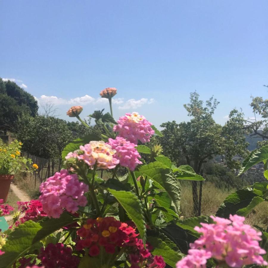 La Riggiola Bed and Breakfast Salerno Eksteriør billede