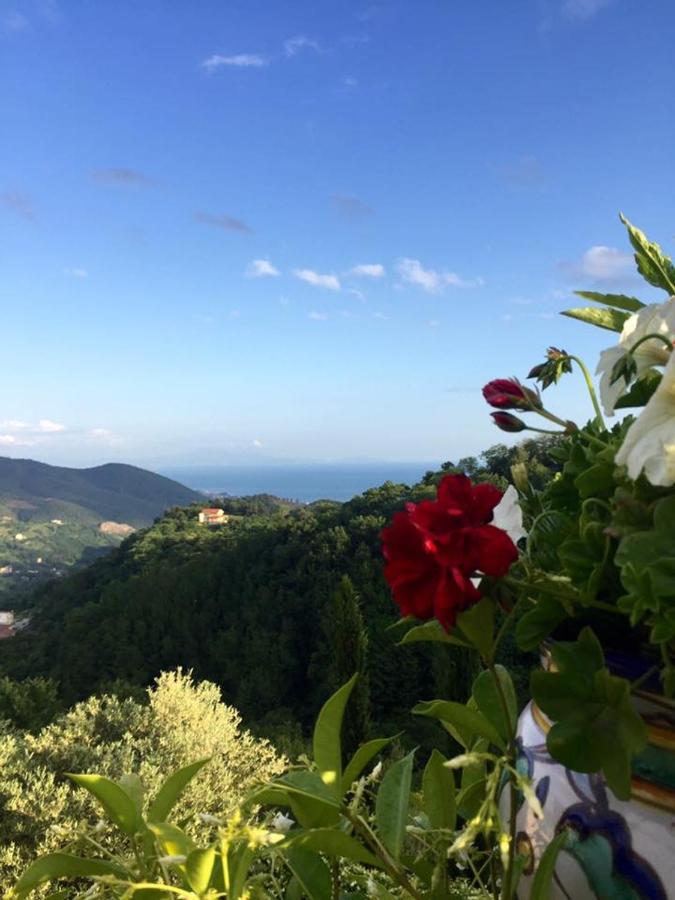 La Riggiola Bed and Breakfast Salerno Eksteriør billede
